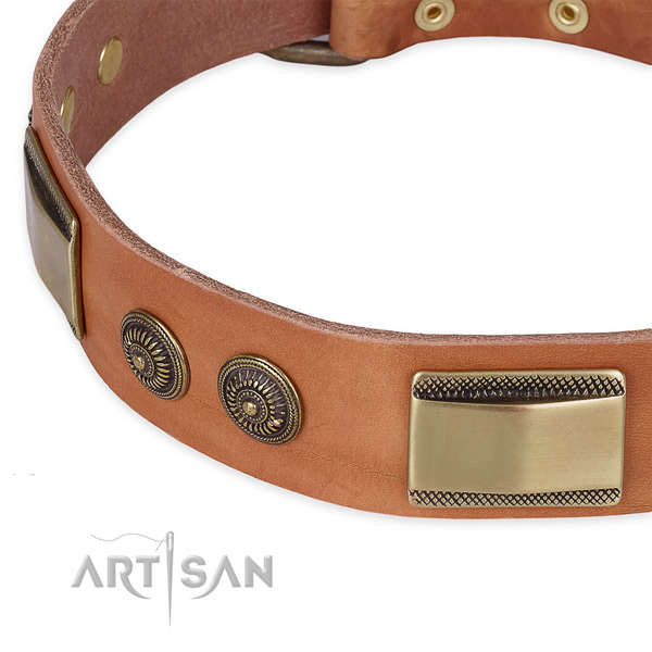 Stylish walking leather collar with rust resistant buckle and D-ring