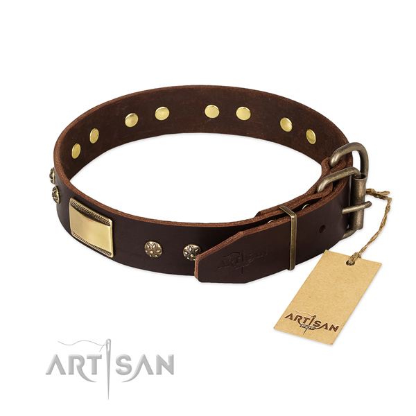 Everyday walking leather collar with studs for your doggie
