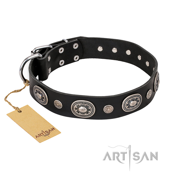 Incredible design adornments on full grain leather dog collar