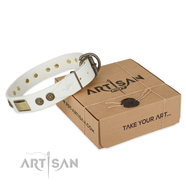 Fashionable full grain natural leather dog collar for daily walking