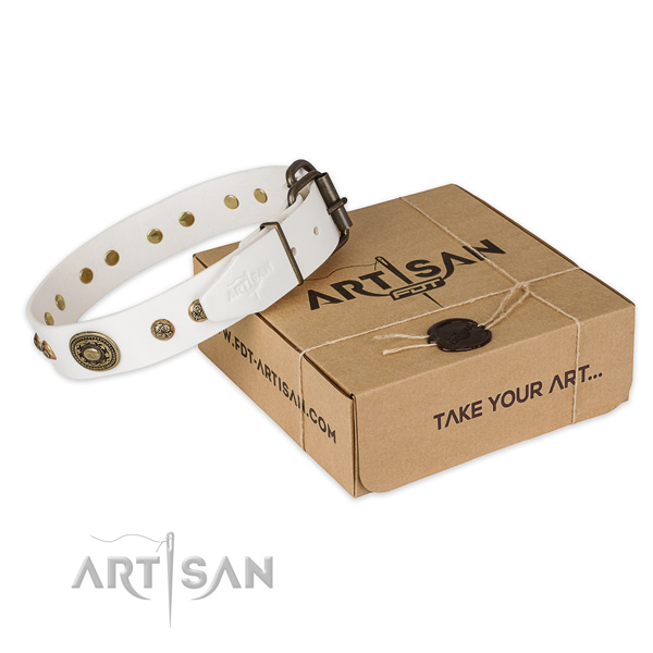 Fine quality leather dog collar for daily walking
