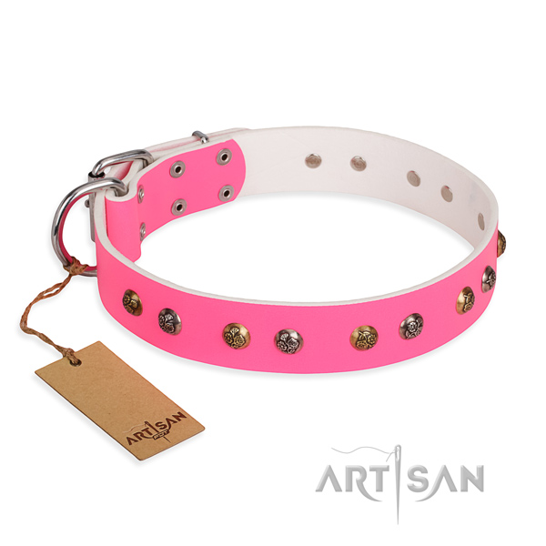 Durable leather collar for your noble four-legged friend