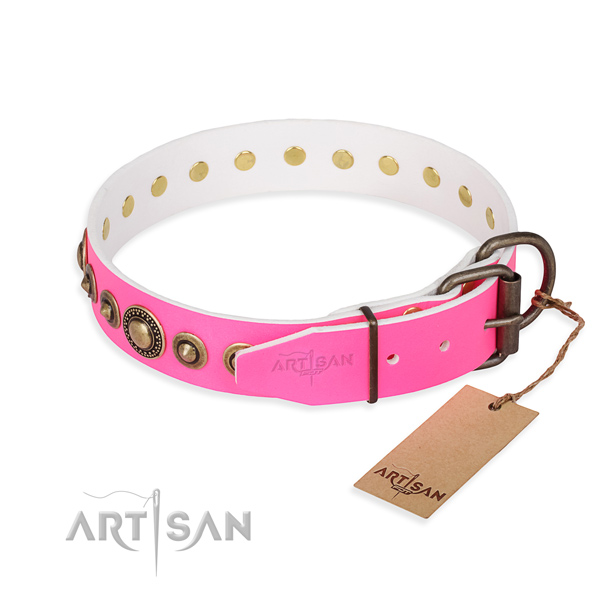 Durable leather collar for your noble canine