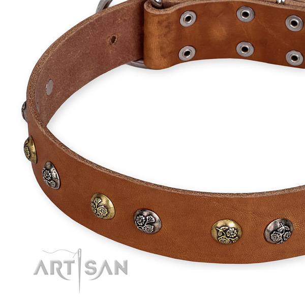 Adjustable leather dog collar with extra sturdy durable fittings