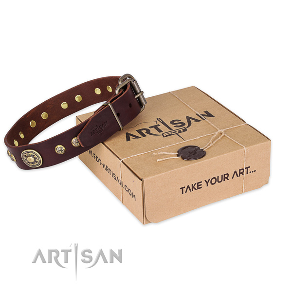 Finest quality leather dog collar for everyday use