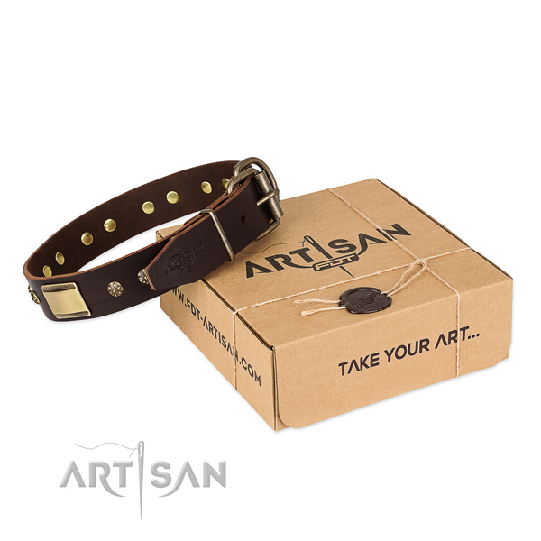 Stylish design full grain genuine leather dog collar for daily walking