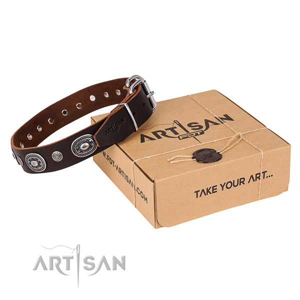 Fashionable leather dog collar for walking in style