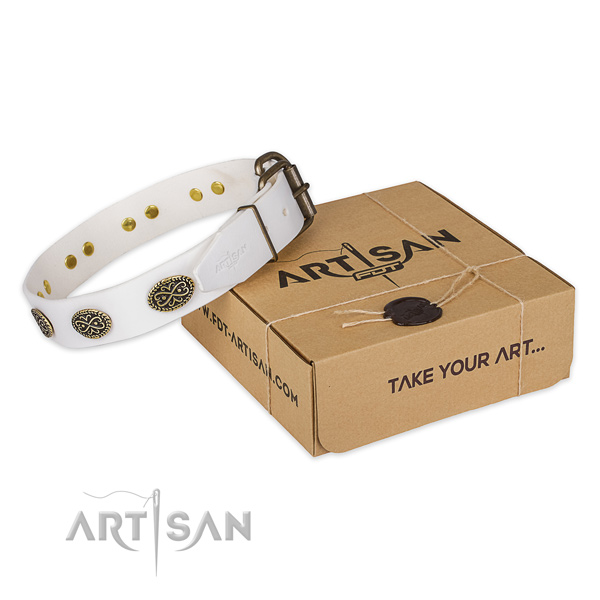 Stylish leather dog collar for everyday walking
