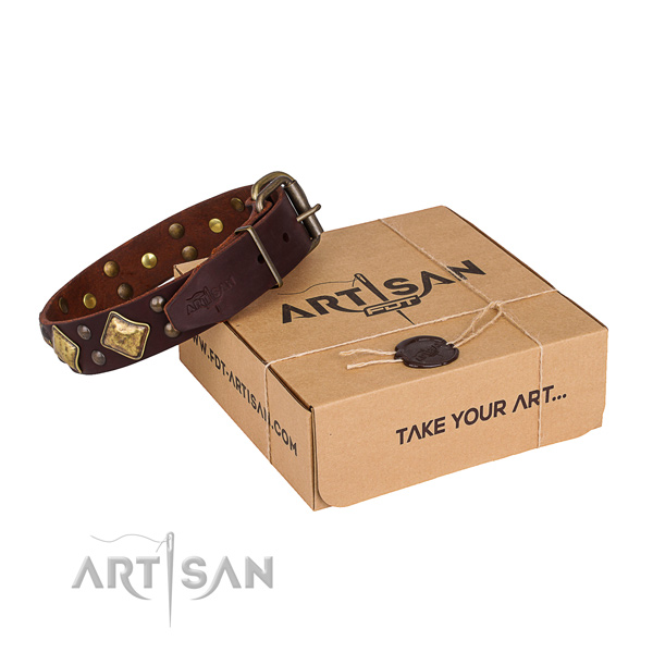 Perfect fit genuine leather dog collar for walking in style