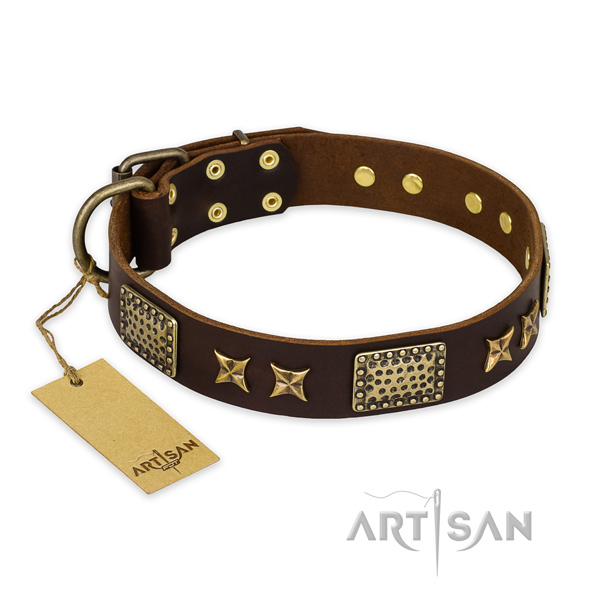 Stylish walking natural genuine leather collar with embellishments for your dog