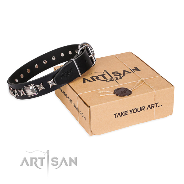 Stylish full grain natural leather dog collar for daily use