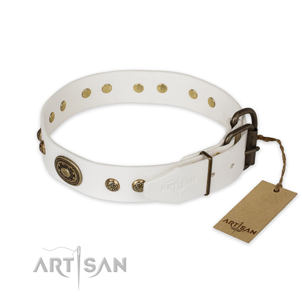 Extraordinary design adornments on full grain natural leather dog collar