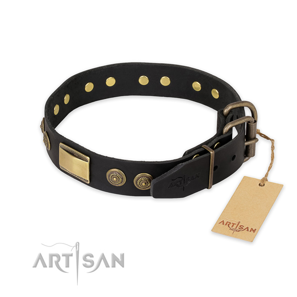 Trendy design adornments on full grain natural leather dog collar