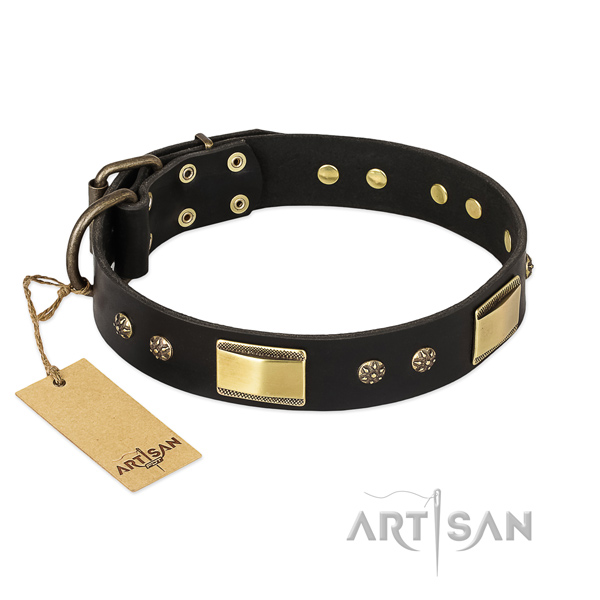 Walking natural genuine leather collar with embellishments for your canine