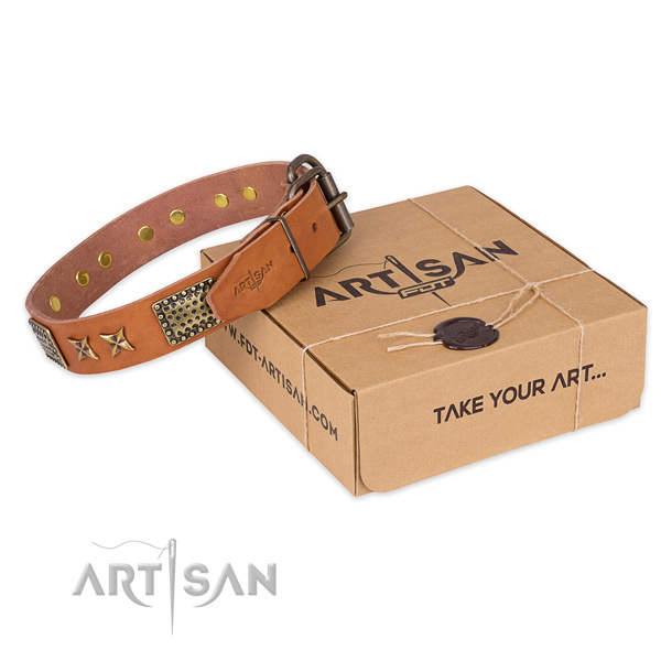 Impressive full grain leather dog collar for everyday walking
