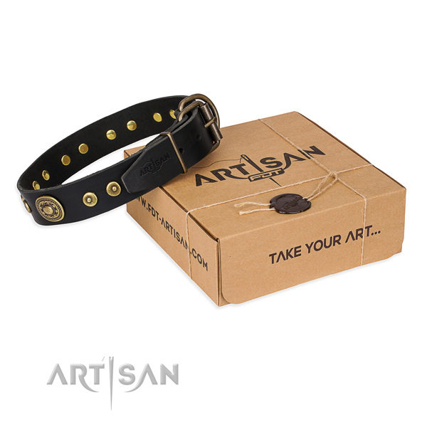 Impressive full grain natural leather dog collar for daily use