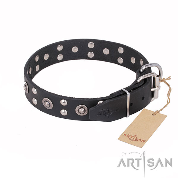 Everyday leather collar for your noble four-legged friend