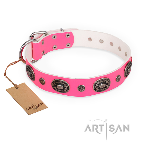 Functional leather collar for your noble dog