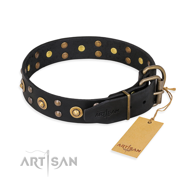 Daily use full grain leather collar with studs for your dog