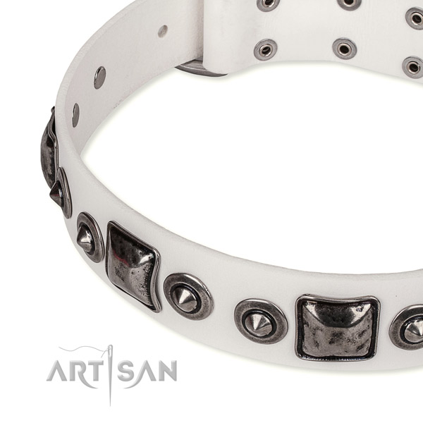 Easy to adjust leather dog collar with extra strong durable buckle