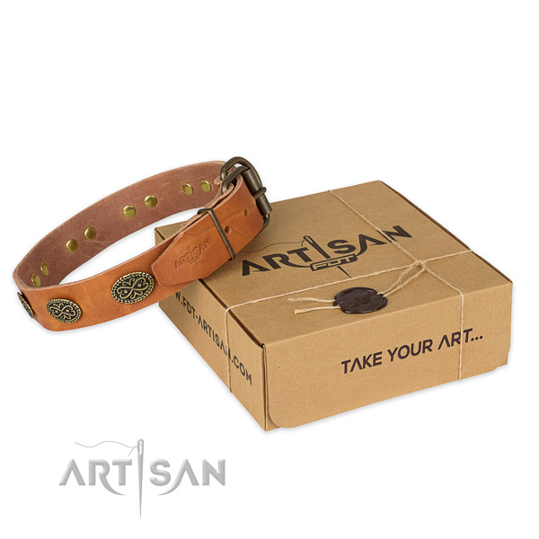 Incredible natural genuine leather dog collar for everyday use