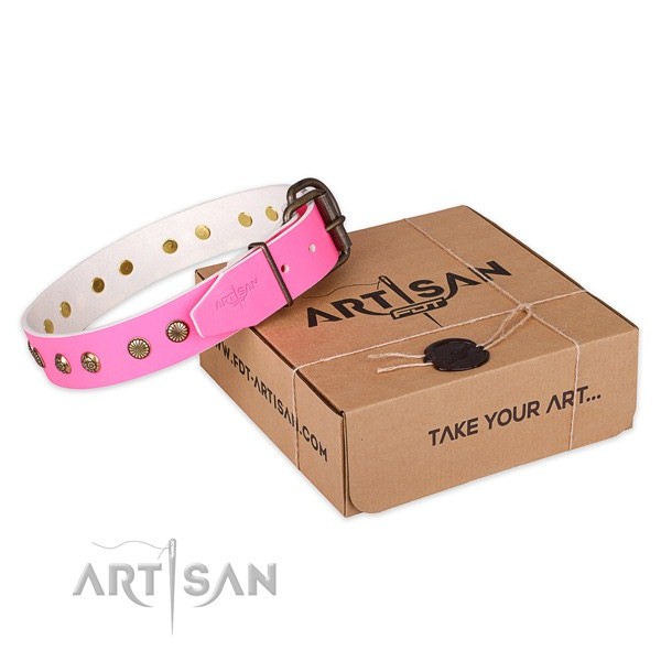 High quality full grain natural leather dog collar for daily use