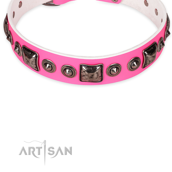 Resistant leather dog collar with reliable details