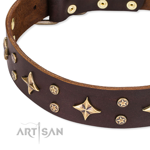 Easy to adjust leather dog collar with resistant non-rusting fittings