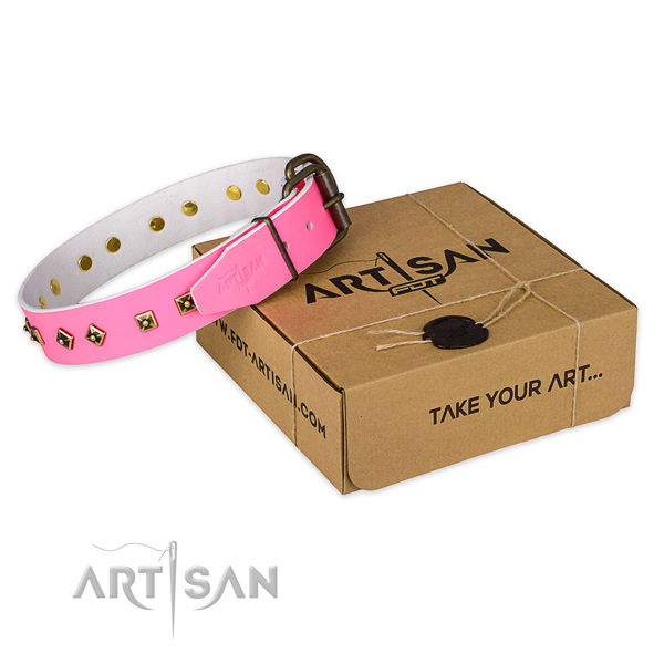 Impressive full grain genuine leather dog collar for walking in style