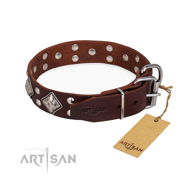 Everyday leather collar for your favourite four-legged friend