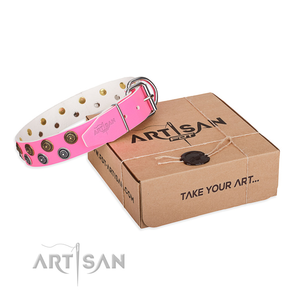 Top notch natural genuine leather dog collar for daily walking