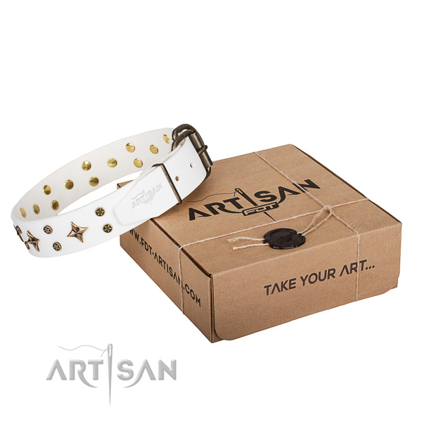 Top notch full grain genuine leather dog collar for daily use