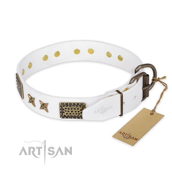 Stylish walking natural genuine leather collar with embellishments for your four-legged friend