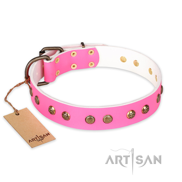 Daily walking genuine leather collar with embellishments for your canine