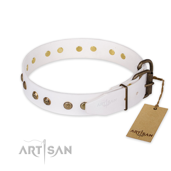 Daily walking leather collar with decorations for your dog