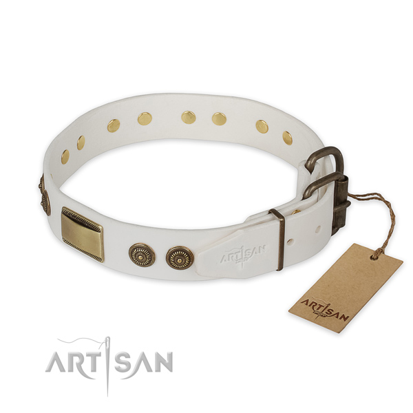 Everyday use full grain genuine leather collar with studs for your doggie