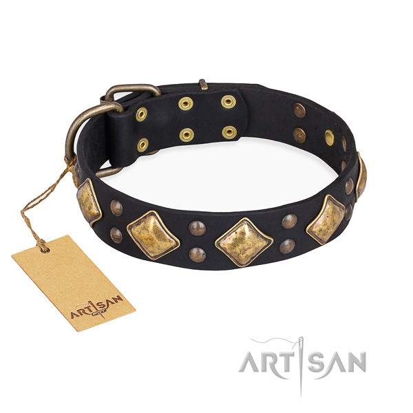 Stunning design embellishments on natural genuine leather dog collar