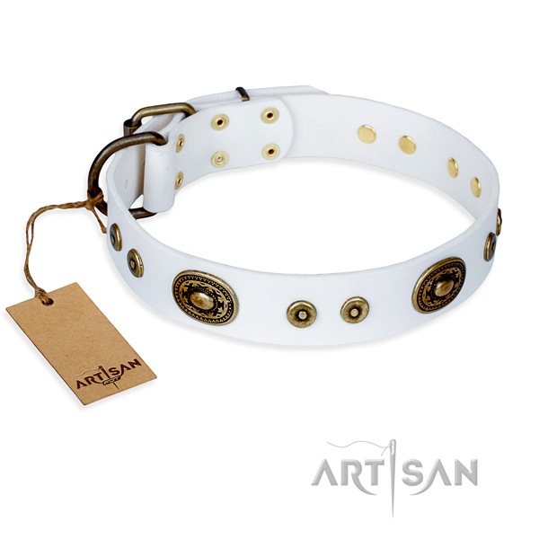 Dependable leather dog collar with sturdy hardware