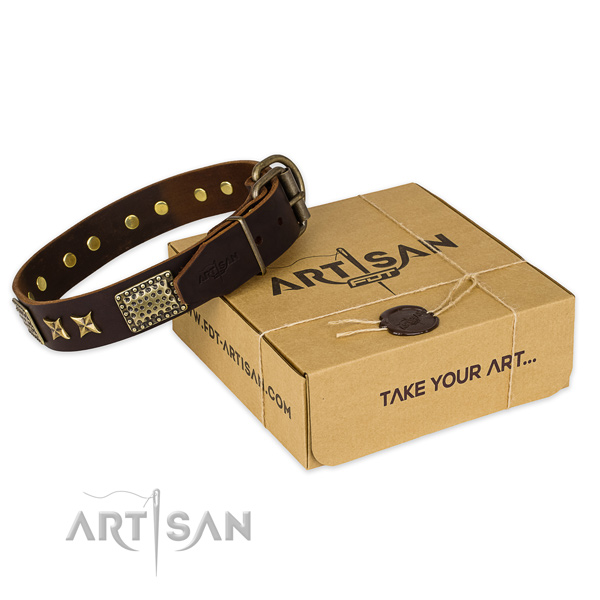 Trendy full grain genuine leather dog collar for daily walking