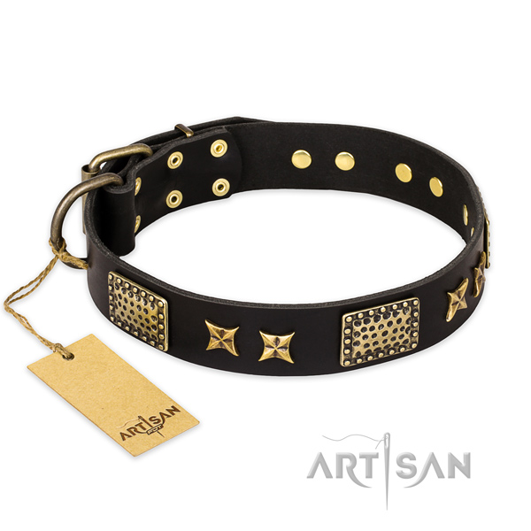 Walking leather collar with decorations for your dog