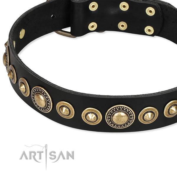 Quick to fasten leather dog collar with resistant non-rusting buckle