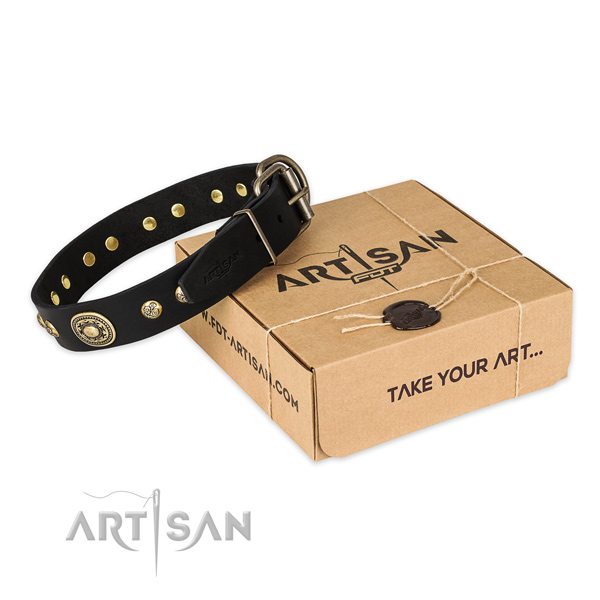 Stylish design genuine leather dog collar for everyday walking