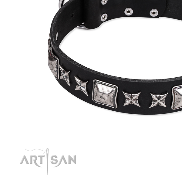 Snugly fitted leather dog collar with extra sturdy rust-proof fittings