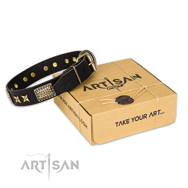 Top notch leather dog collar for everyday walking