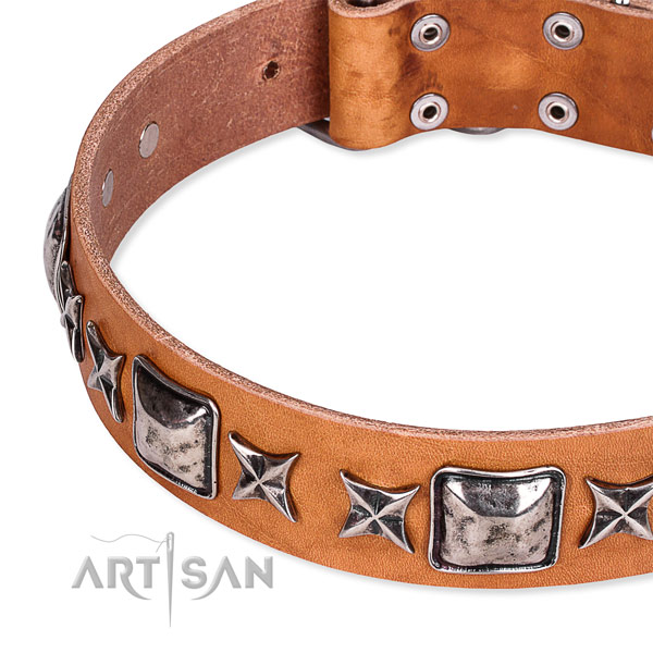 Easy to adjust leather dog collar with resistant durable hardware
