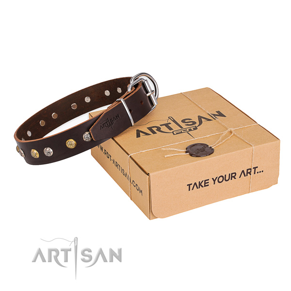 Finest quality full grain genuine leather dog collar for daily walking