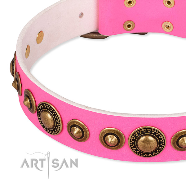 Snugly fitted leather dog collar with extra strong old bronze-like plated fittings