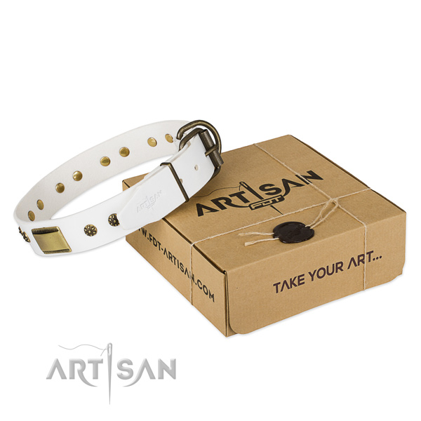 Awesome leather dog collar for walking in style