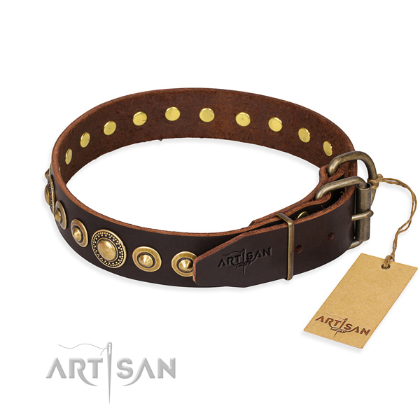 Fashionable leather collar for your stunning canine