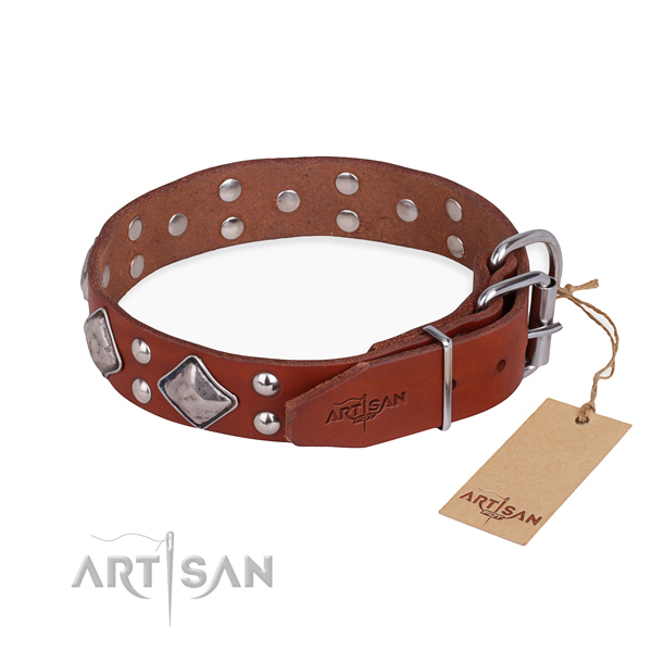 Fashionable leather collar for your noble dog